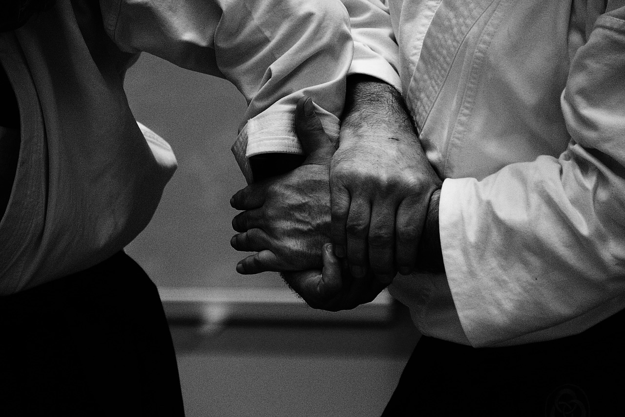 aikido  self-defense  training free photo