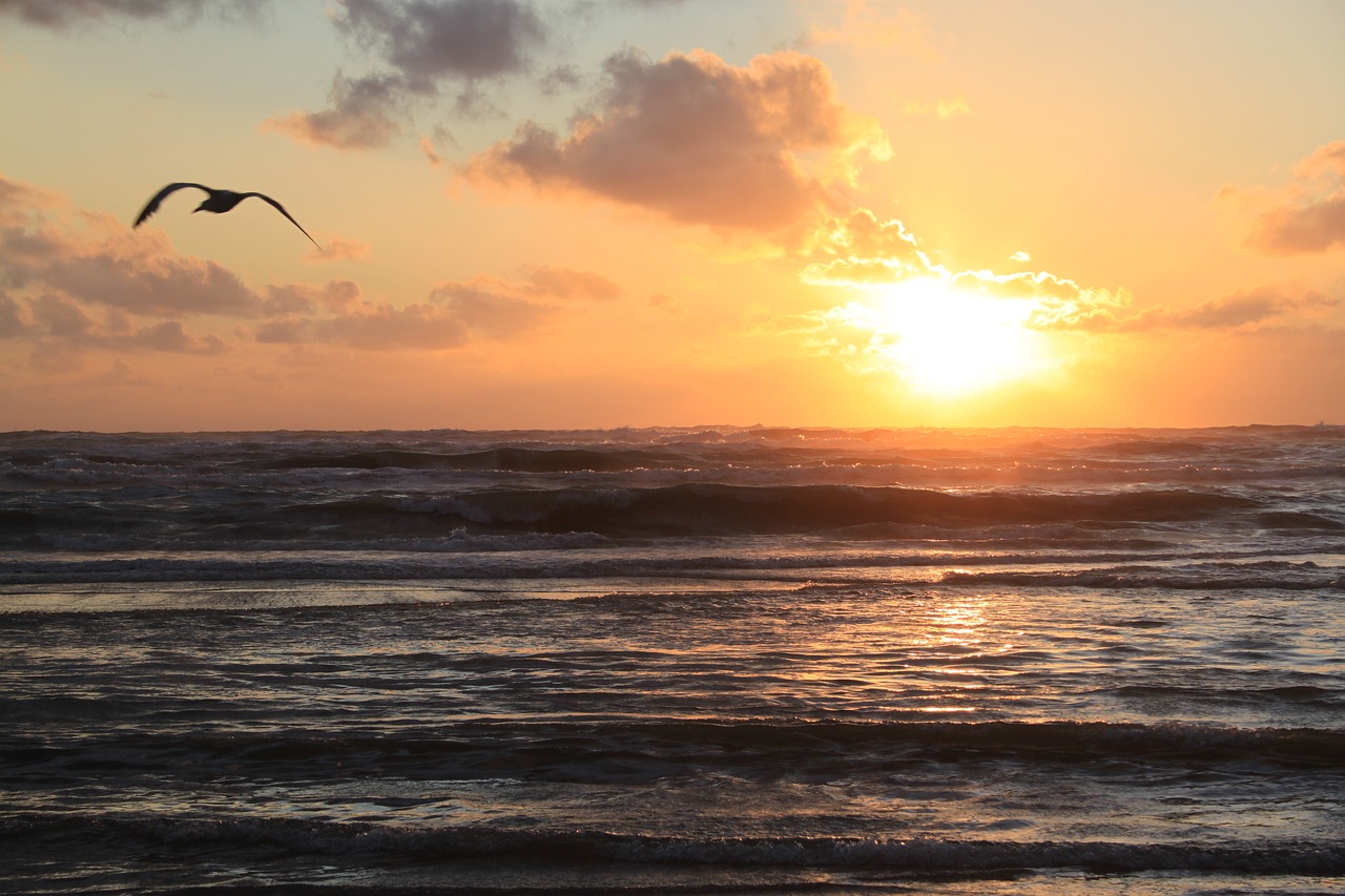 air zandvoort setting sun free photo