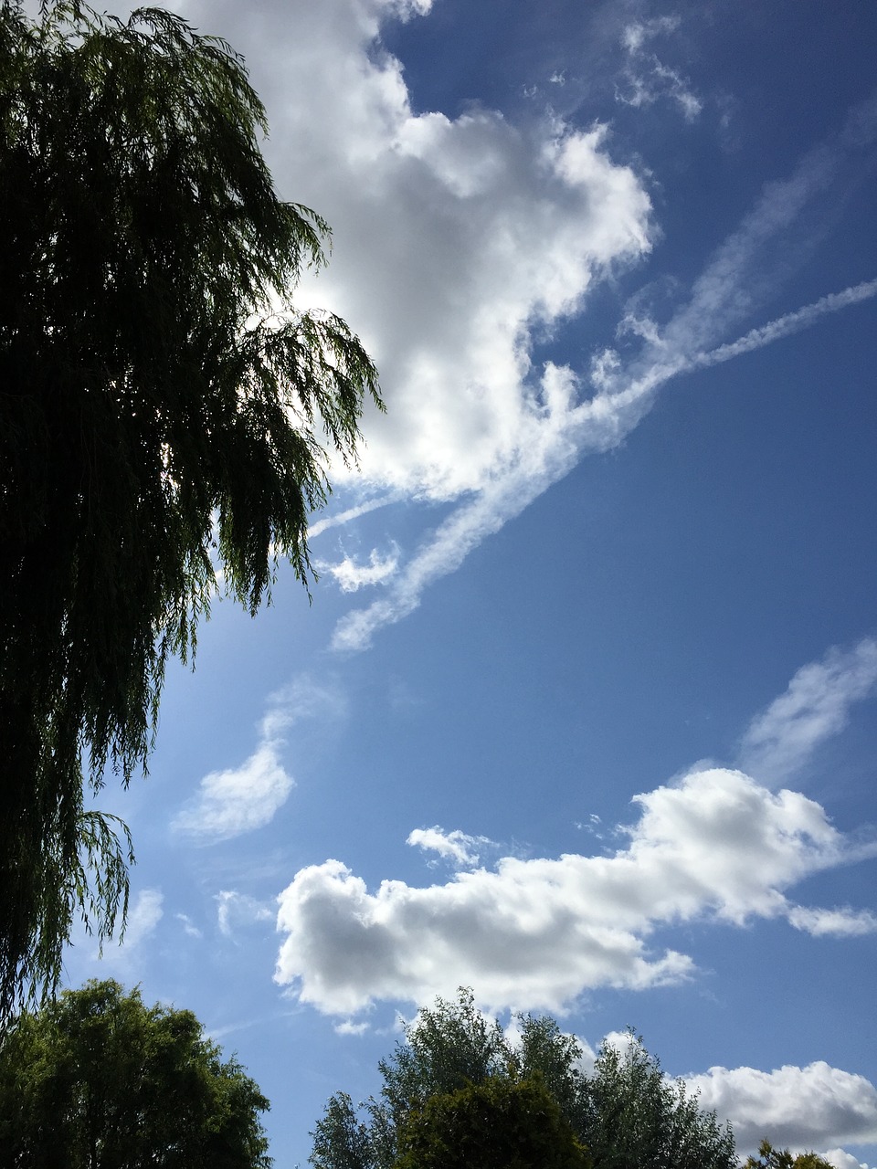 air clouds plane free photo