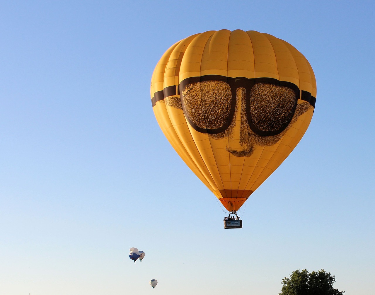 air balloon festival hot air balloon netherlands free photo