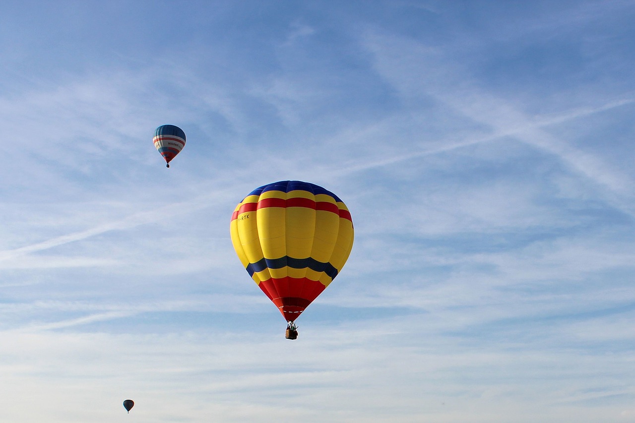 air balloon festival hot air balloon netherlands free photo