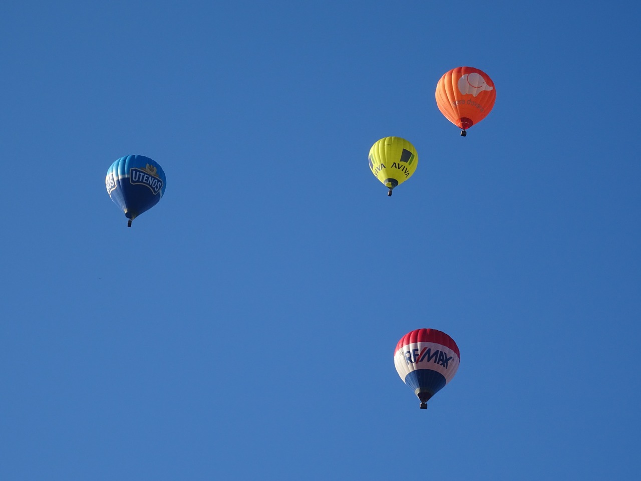 air balloons blue sky free photo