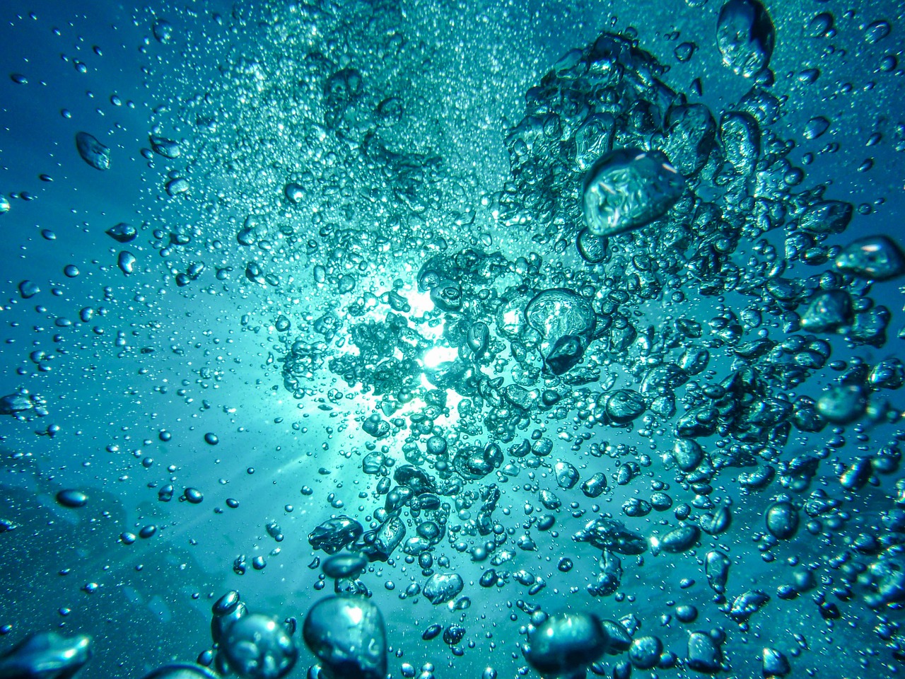 air bubbles diving underwater free photo