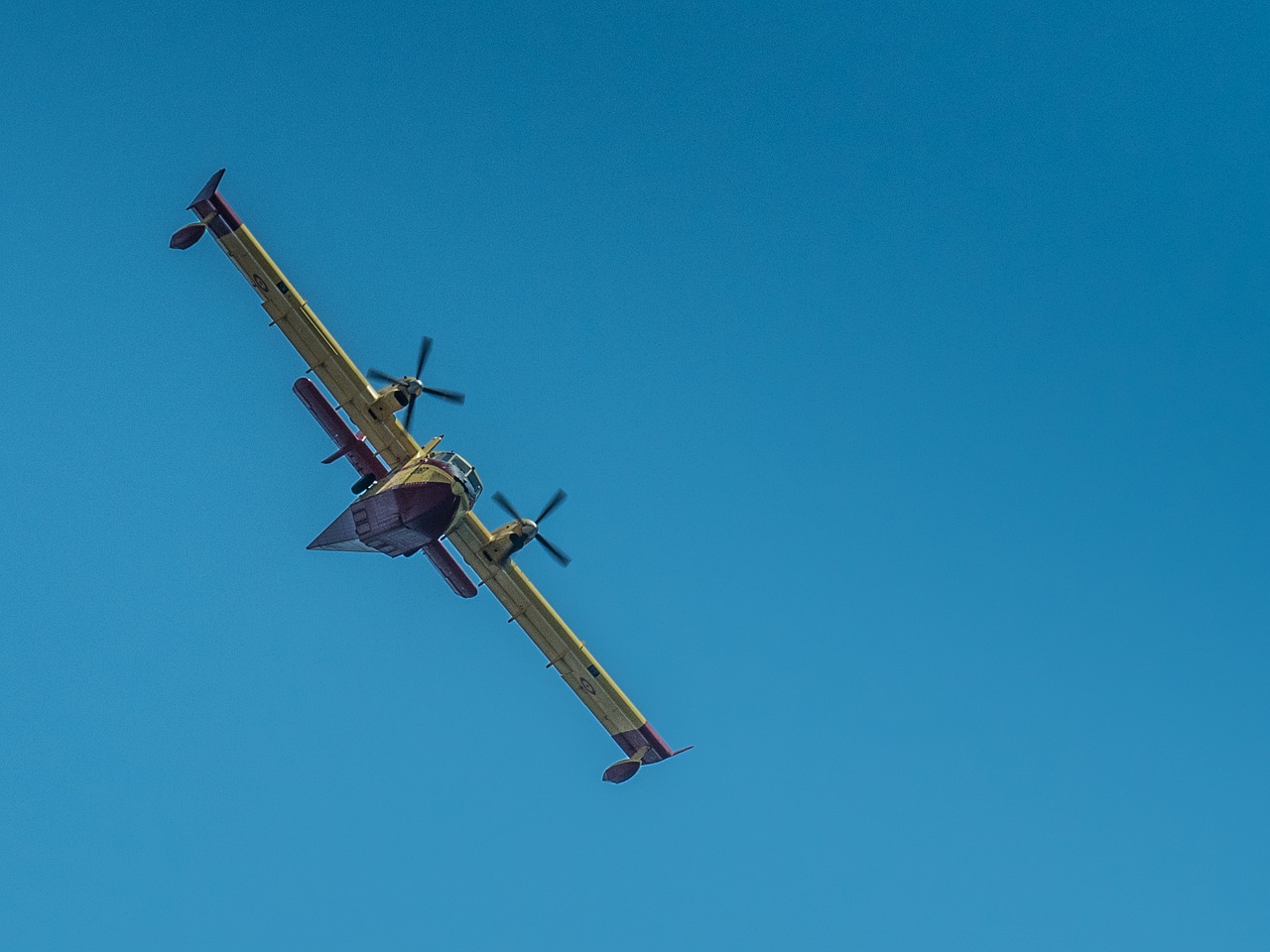 Flight festival. Воздушный рейс.