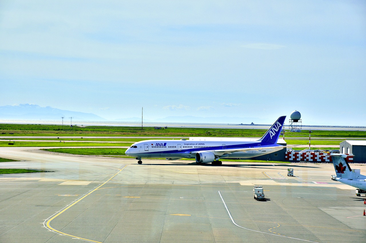 air plane taxiing  airport  boeing 787 free photo