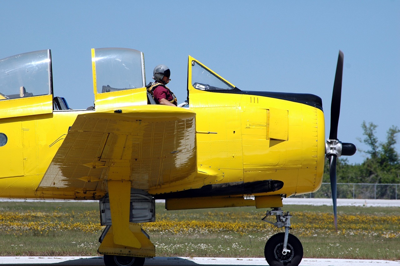air show stunt plane pilot free photo