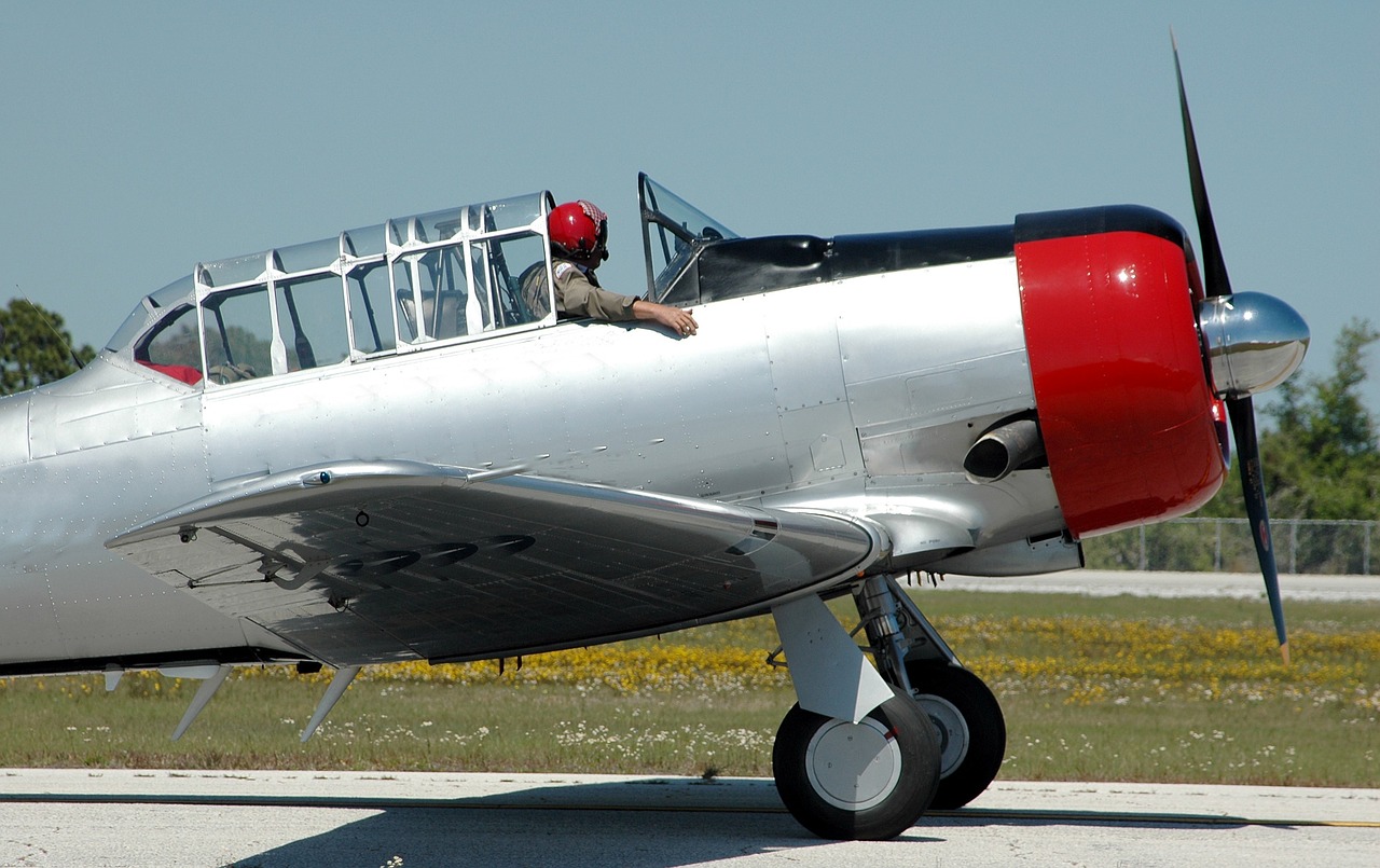 air show stunt plane pilot free photo