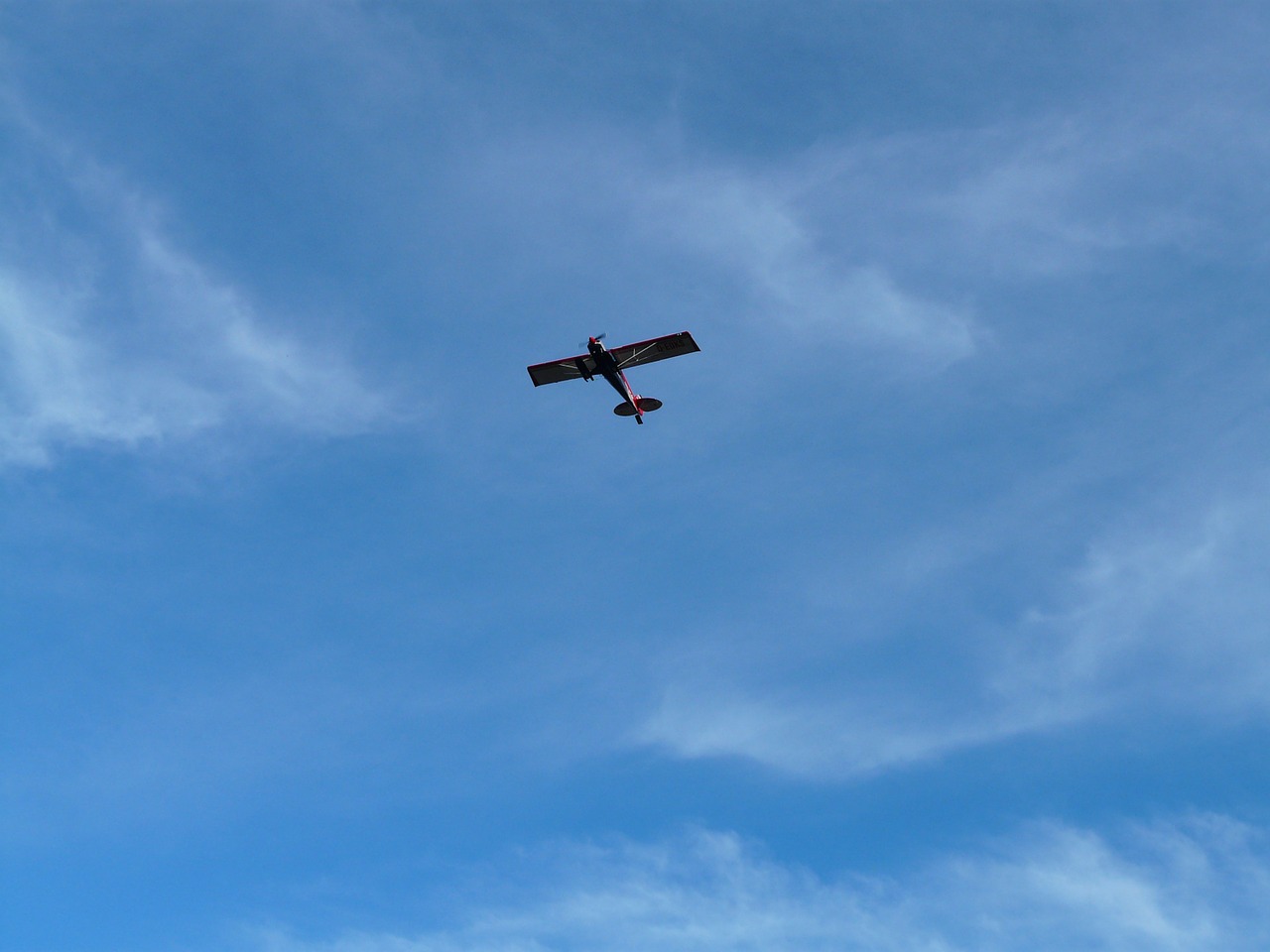 aircraft fly sky free photo