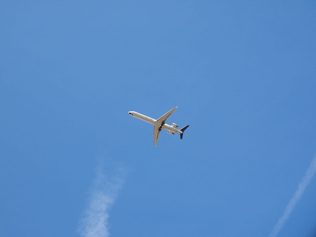 aircraft sky fly free photo