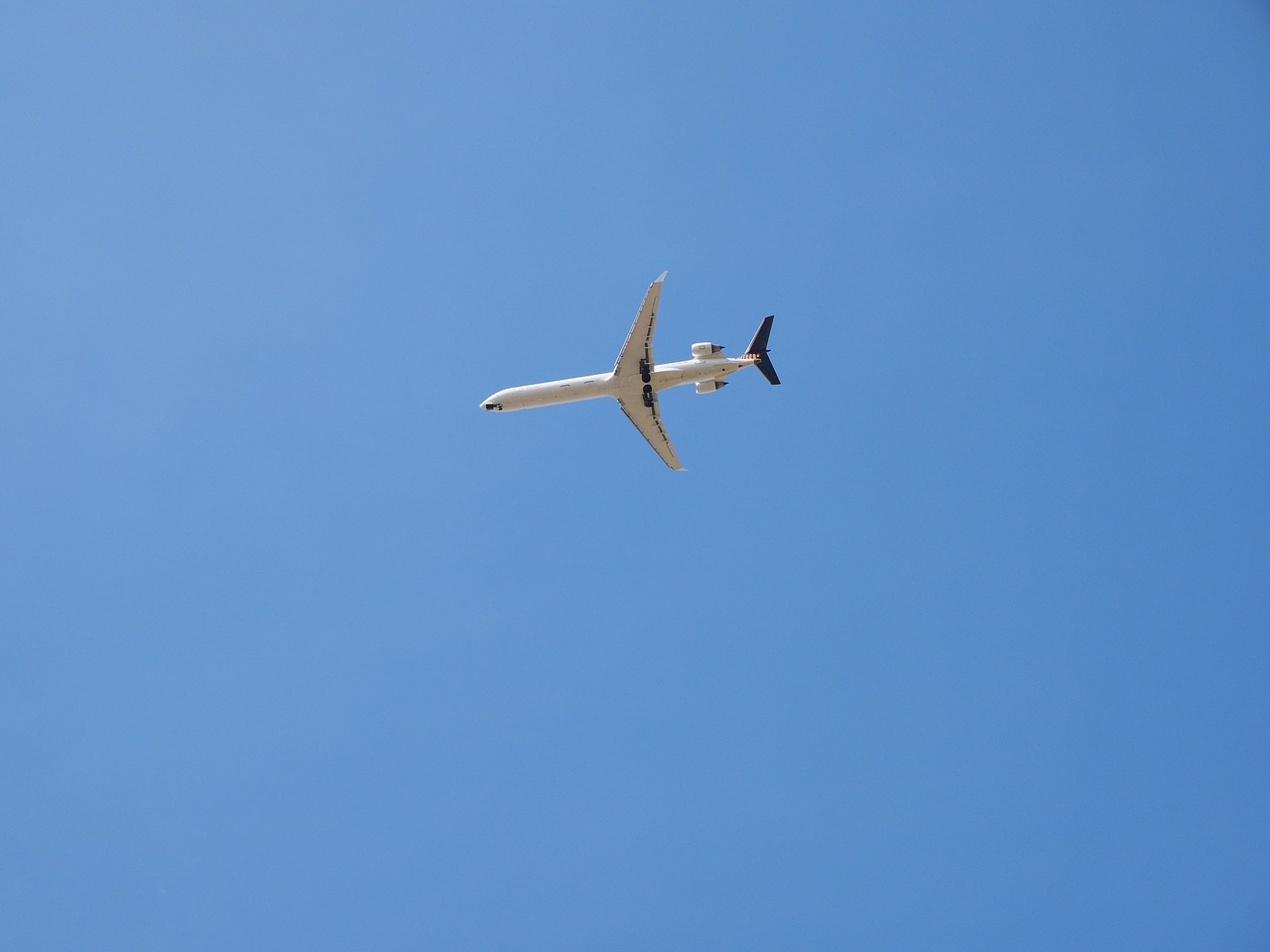 aircraft sky fly free photo