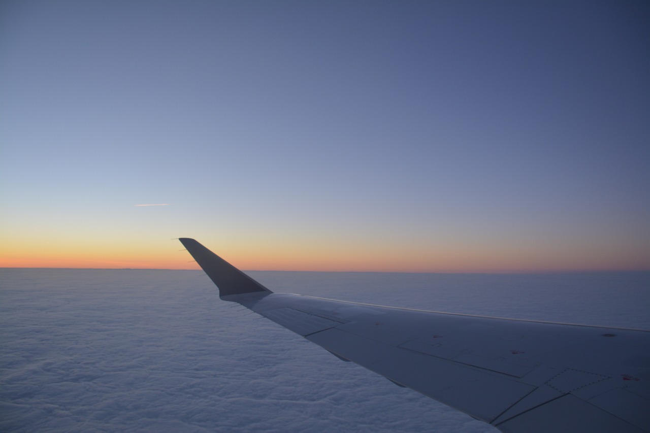 aircraft wings flight free photo