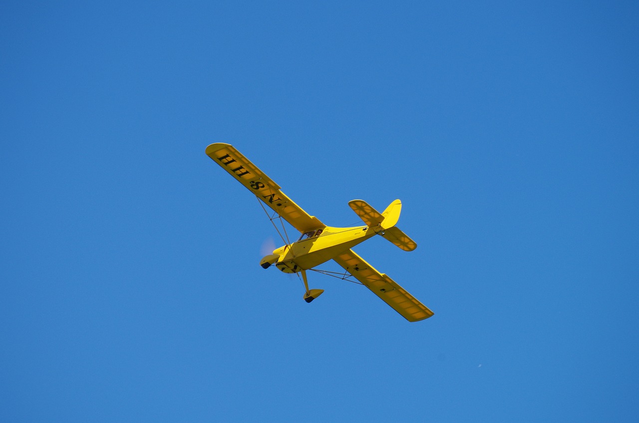 aircraft model flying free photo