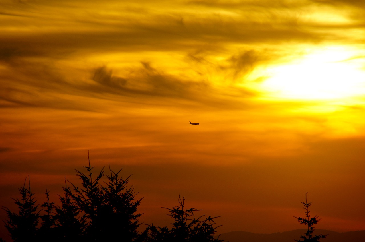 aircraft sunset twilight free photo