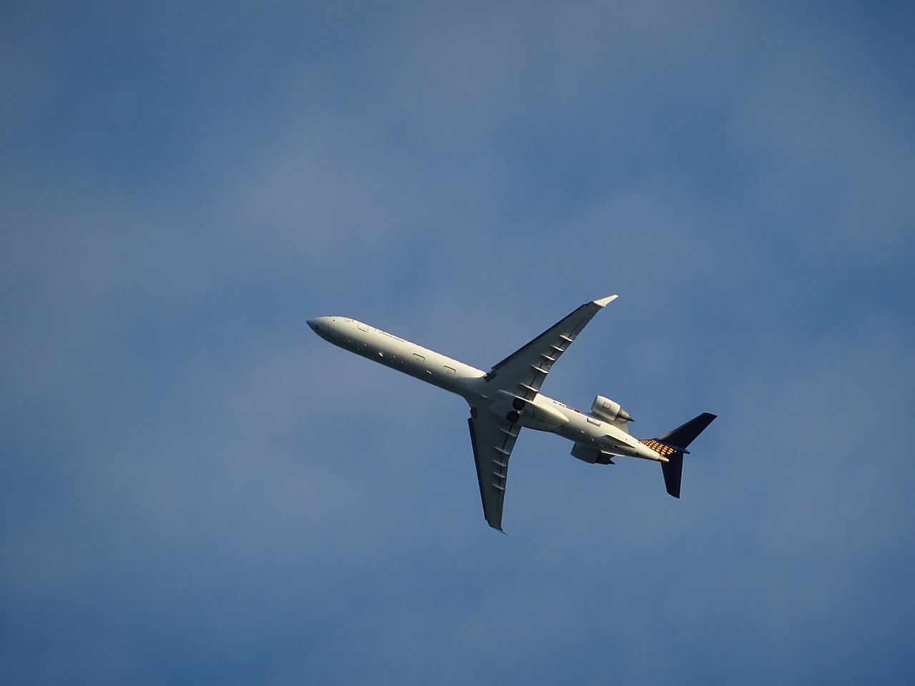 aircraft sky wing free photo