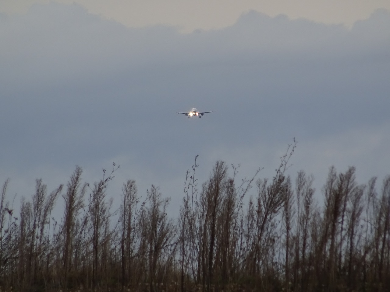 aircraft landing spotlight free photo