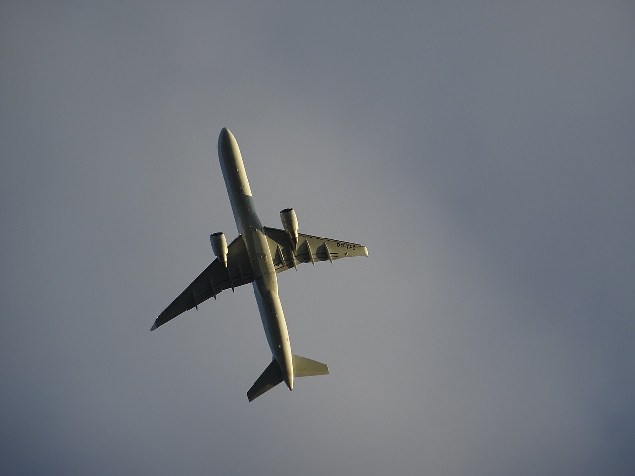 aircraft airliner from the bottom free photo