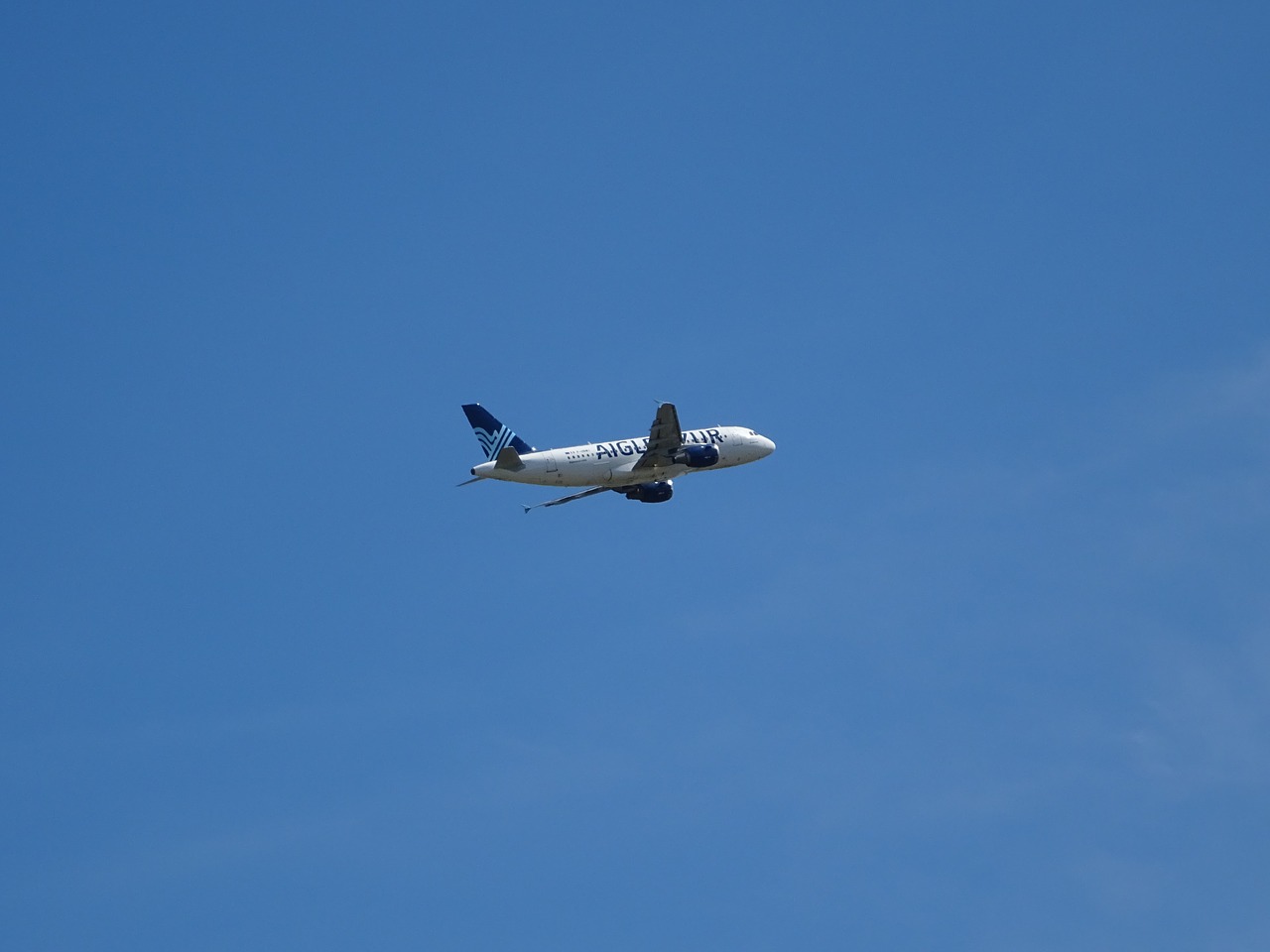 aircraft eagle azure wing free photo