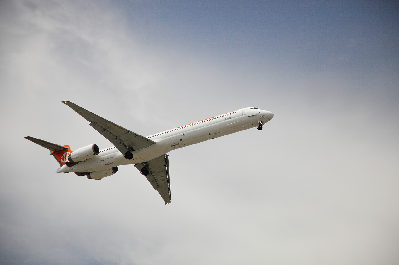 aircraft the scenery cloud free photo