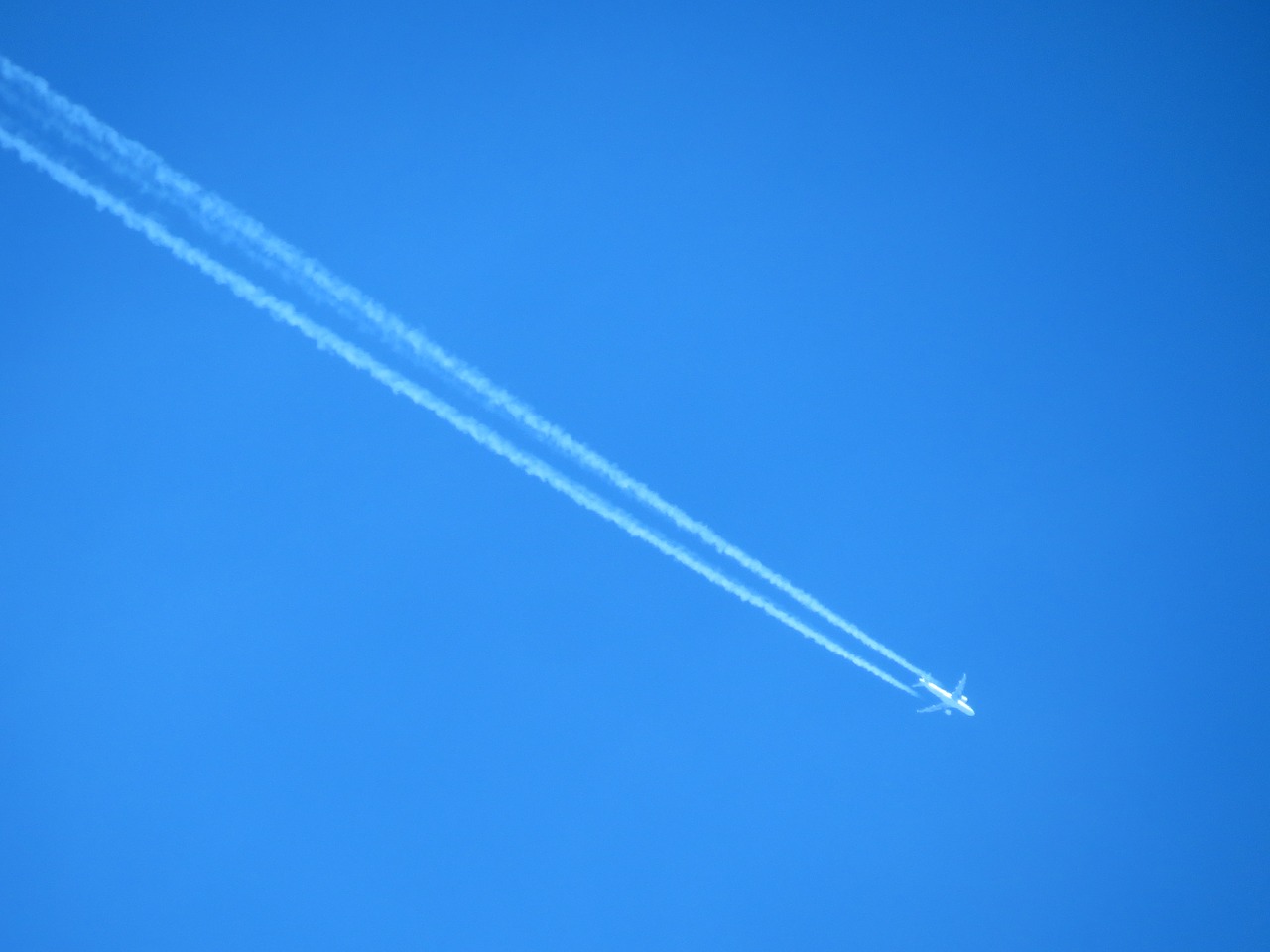 aircraft contrail sky free photo