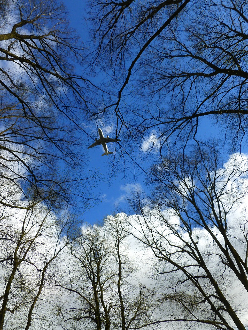 aircraft sky clouds free photo