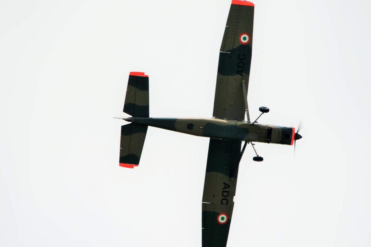 aircraft flying bosbok free photo