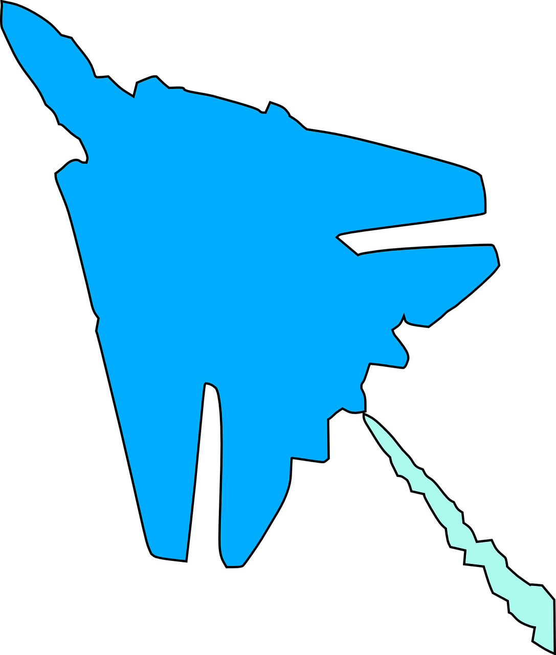 aircraft jet silhouette free photo