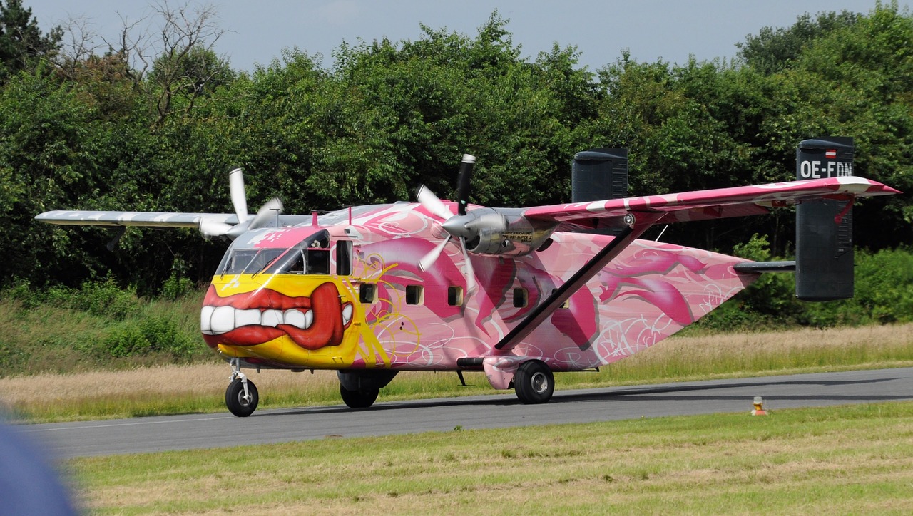 aircraft skydiving propeller free photo