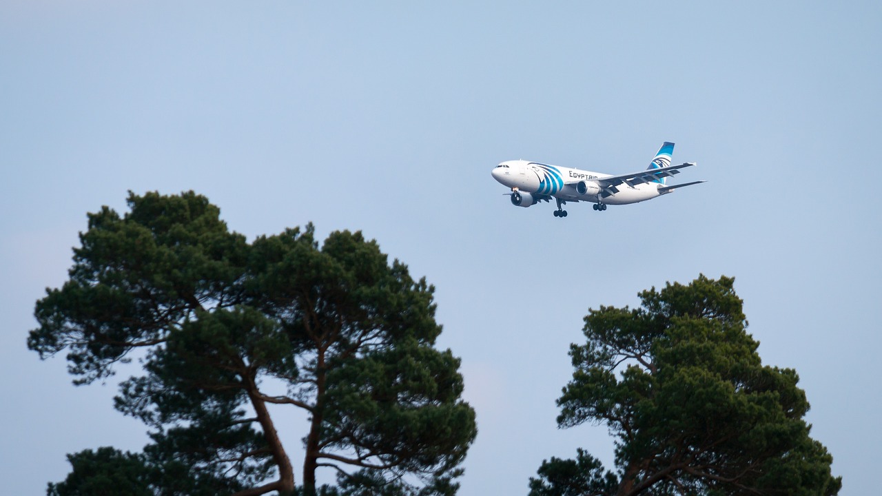 aircraft land landing free photo