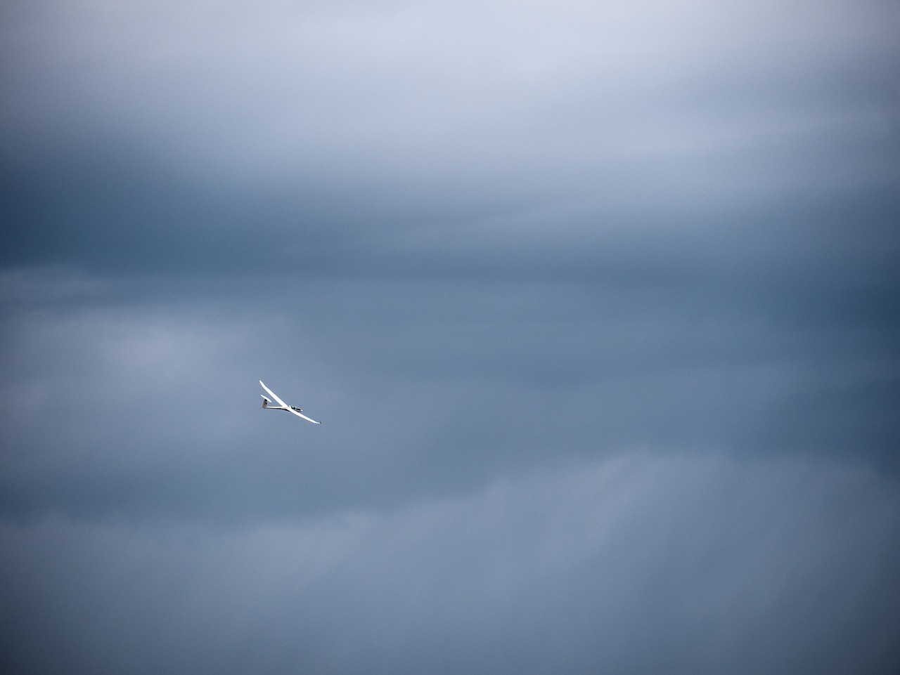 aircraft  sky  flight free photo