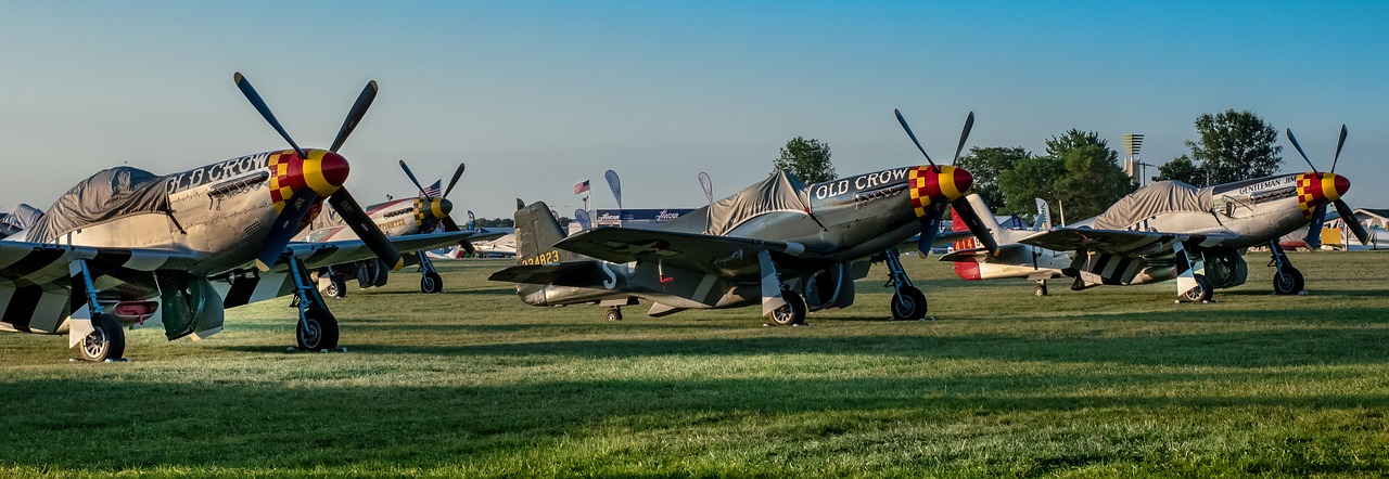 aircraft  airplane  mustang free photo