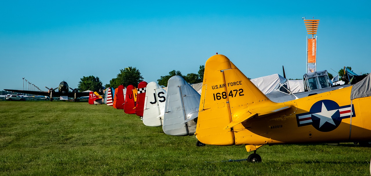 aircraft  airshow  military free photo