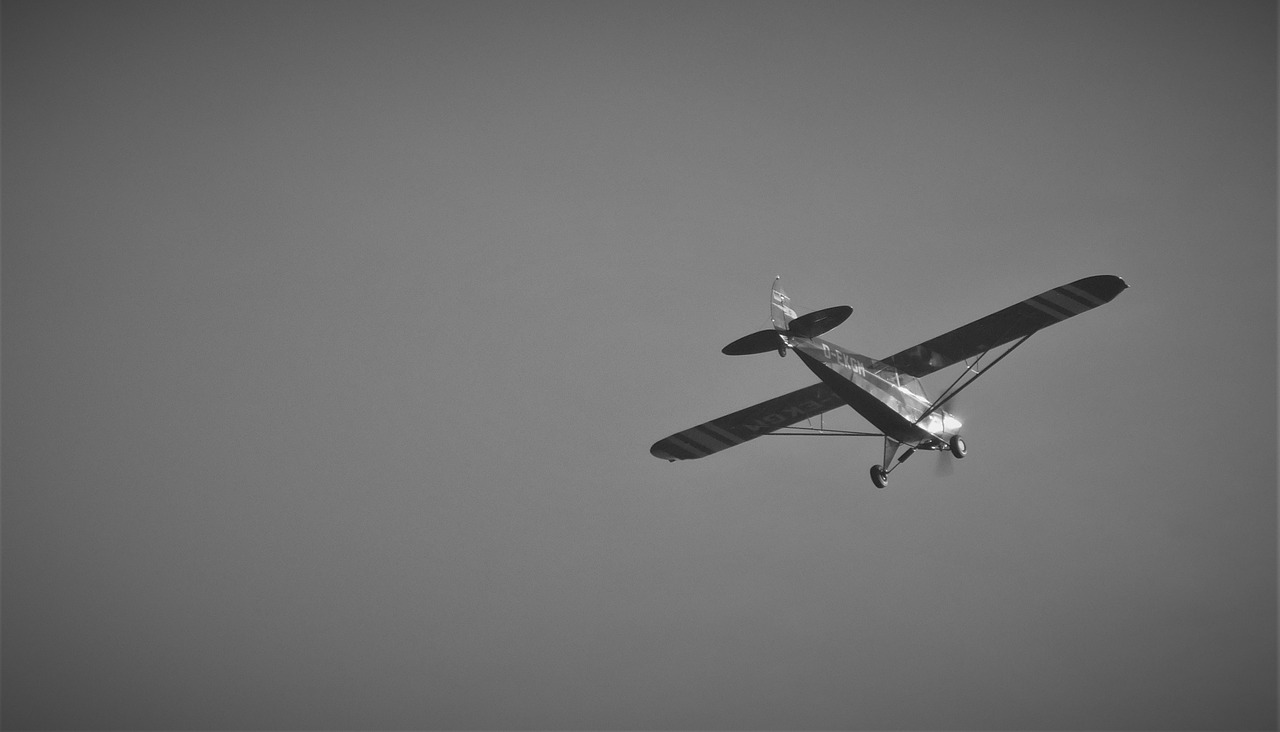 aircraft  black and white  aerial view free photo