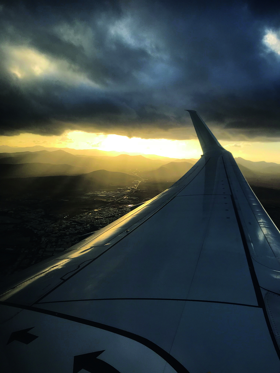 aircraft  wing  flying free photo