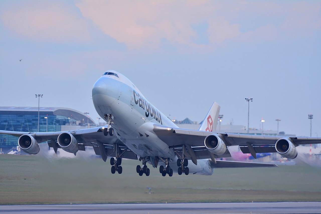 aircraft  airport  flight free photo