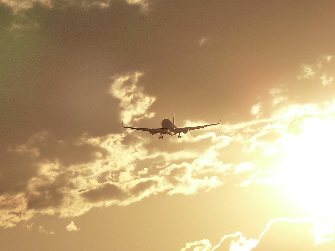 aircraft boeing sun free photo
