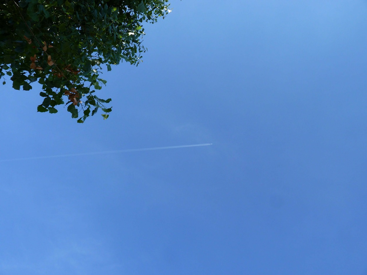 aircraft fly clouds free photo