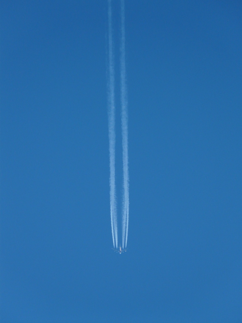 aircraft fly contrail free photo
