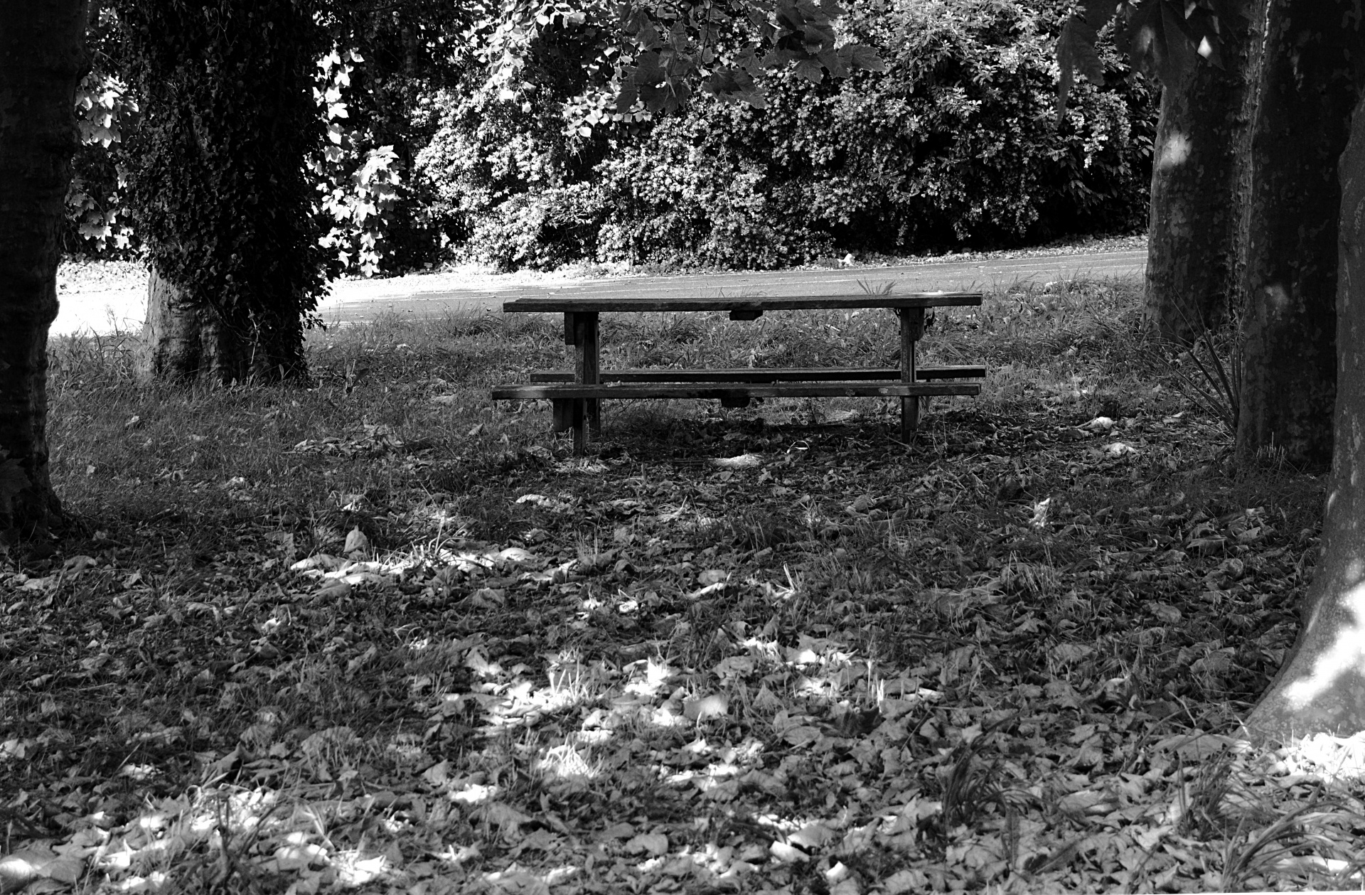 table benches picnic free photo