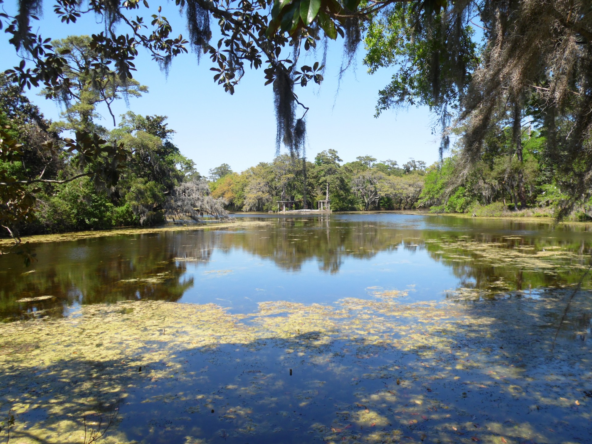 pond lake trees free photo