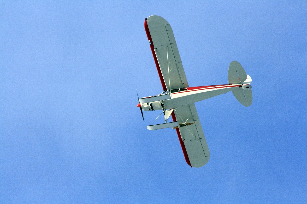 airplane fly sky background free photo