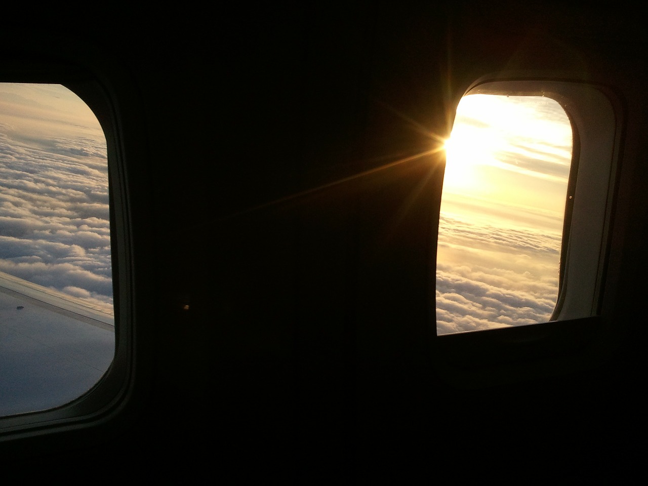 airplane window flight free photo