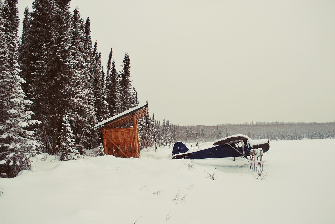 airplane transportation winter free photo