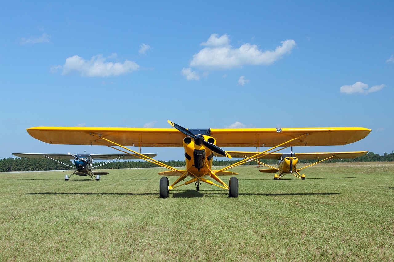 airplane super cub grass strip free photo