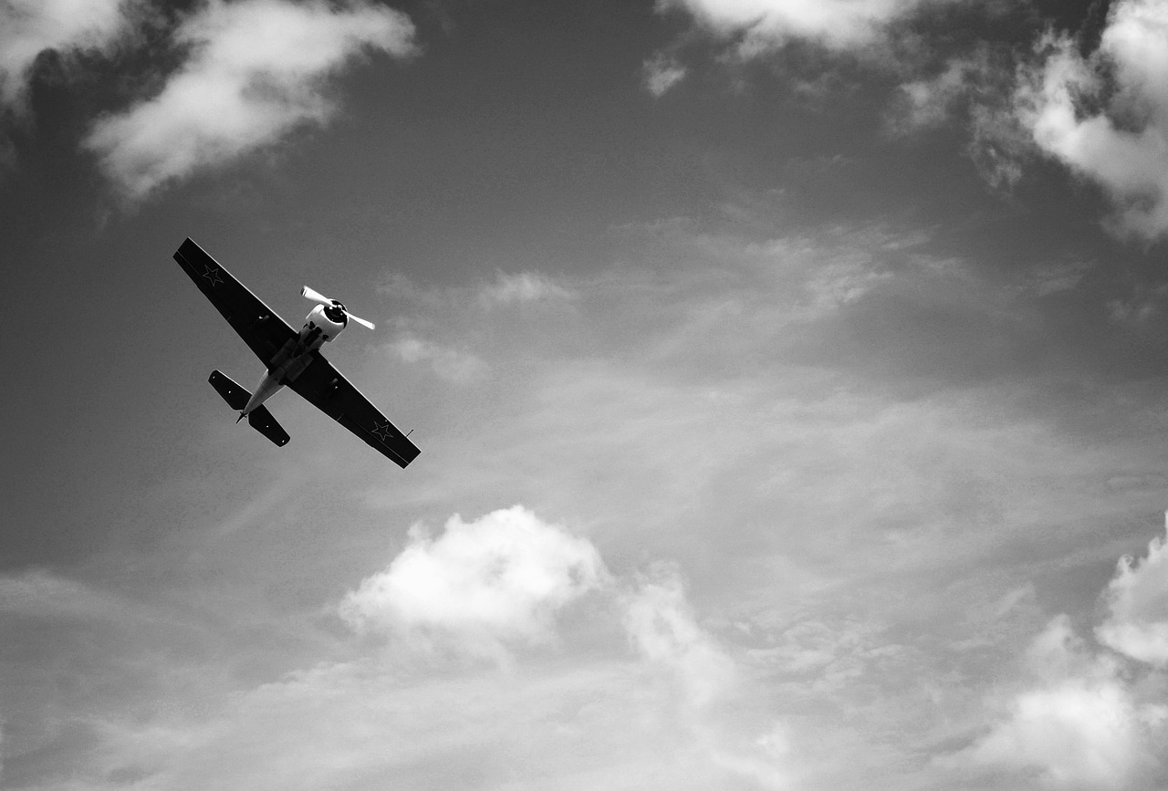 airplane flying sky free photo