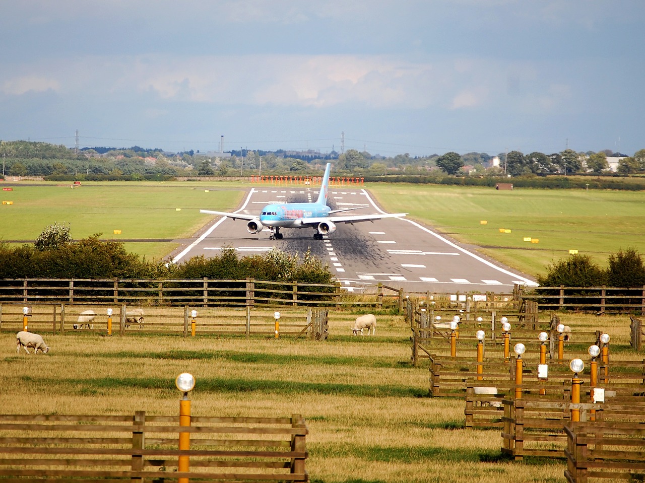 airplane aircraft airliner free photo