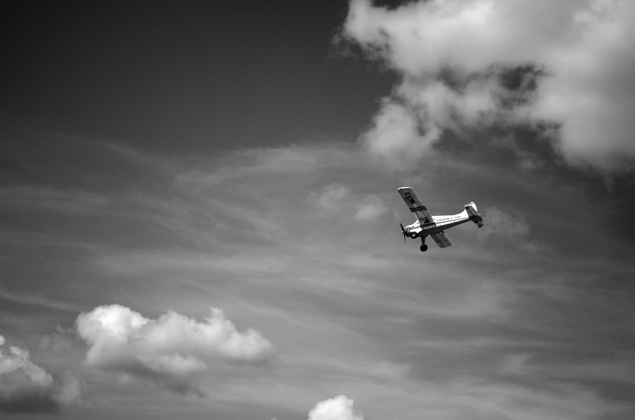 airplane flying sky free photo