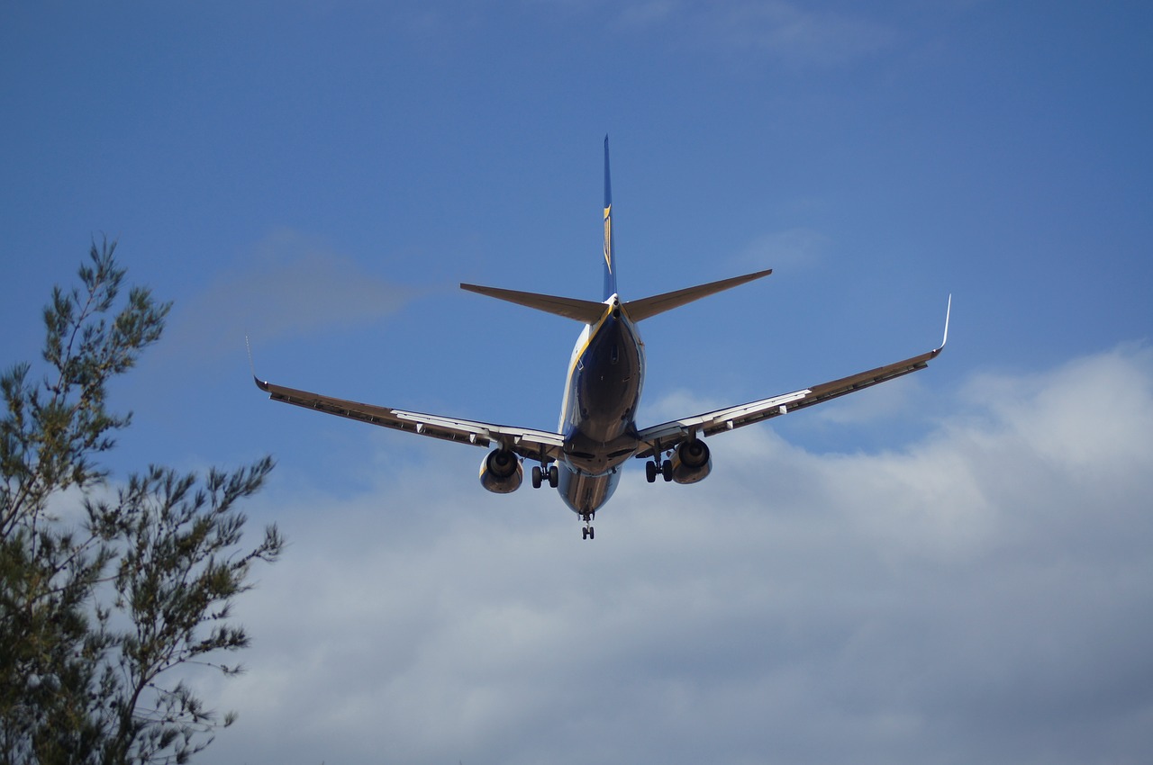 airport the palmas free photo