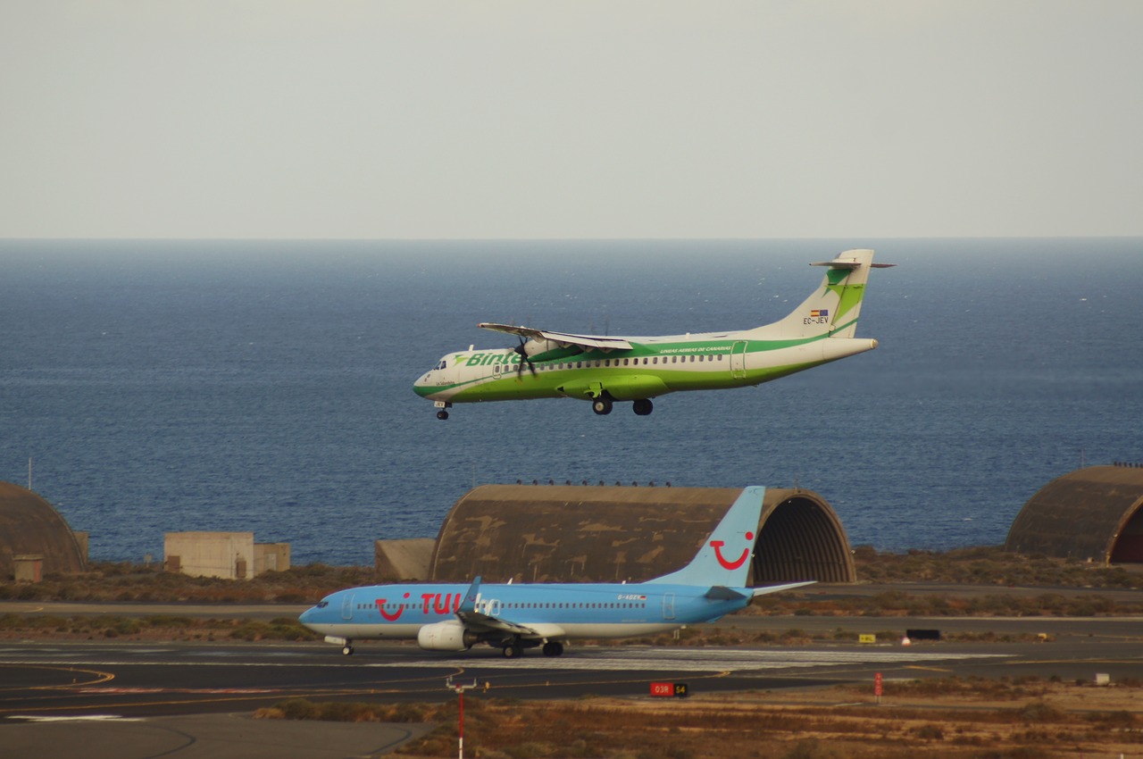 airport the palmas free photo