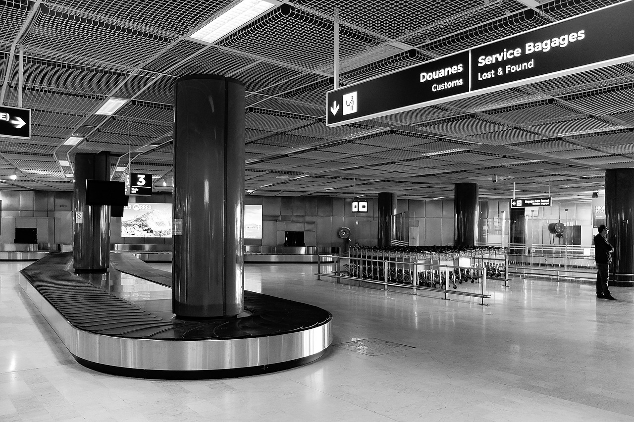 airport  terminal  arrivals free photo