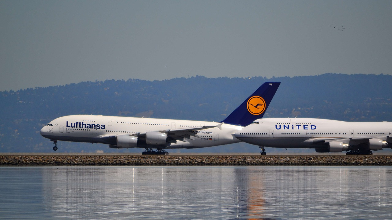 airport  sfo  san francisco international free photo